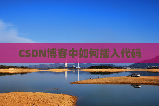 CSDN博客中如何插入代码